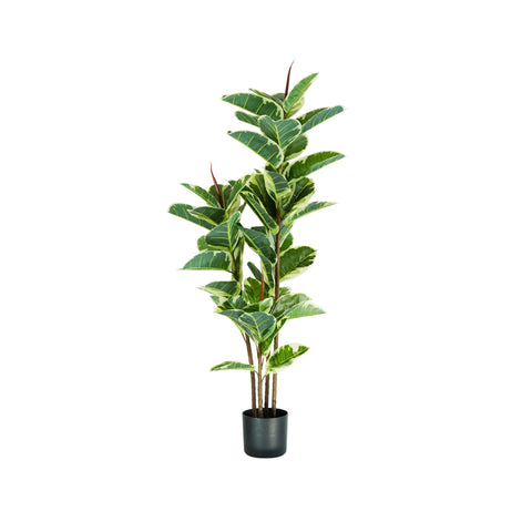 Rostlina fíkusu elastica z polyetylenu s 54 listy a květináčem s mechem 145cm