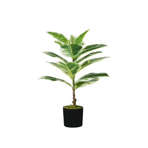 Rostlina fíkusu elastica z polyetylenu s 15 listy a květináčem s mechem 65cm
