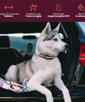 Collare Educativo Cani Taglia Grande/Piccola - Impermeabili e Controllo fino a 1000m