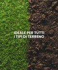 Risultati della rigenerazione del prato con semi Euroseme, ideale per tutti i tipi di terreno e riparazione zone vuote