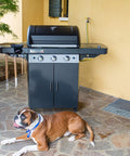 immagine-11-campingaz-barbecue-a-gas-3-series-ls-plus-dual-ean-3138522109165