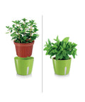 immagine-2-tescoma-vaso-per-piante-tondo-metallo-verde-135x11cm-ean-8595028400922