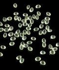 immagine-2-wenko-perle-deodoranti-per-aspirapolvere-universali-ean-4008838241356