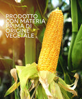 immagine-4-maisonrouge-4-taniche-5l-bioetanolo-denaturato-96-ean-8054806360112