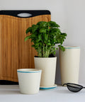 immagine-8-wenko-barattolo-per-alimenti-parla-in-bambu-055l-ean-4008838286319